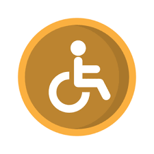  Disability Certificate